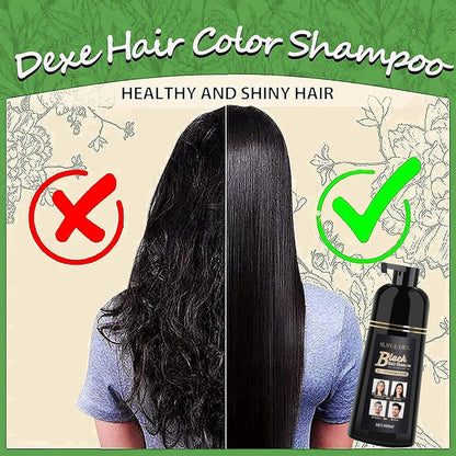 Dexe Black Hair Shampoo 400 ml – Schnelle Haarfärbung in 5 Minuten, Ammoniakfrei, Langanhaltend & Glänzend | Natürliche Kräuterformel mit Ginseng, Ingwer & Reishi | Sanftes Schwarzhaar-Shampoo mit Kajal-Sticker